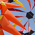 Desorg2003accadorn05
