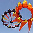 Desorg2003accadorn01