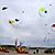 Desorg2004_64