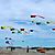 Desorg2004_69