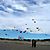 Desorg2004_67