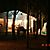 Desorg2004_47