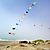 Desorg2004_22