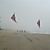 Desorg2004_31
