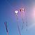 Desorg2004_18