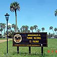 Colon47