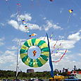 Fiestaviento42