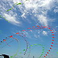 Fiestaviento02