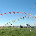 Ninio200554