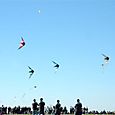 Ninio200559
