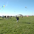 Ninio200561