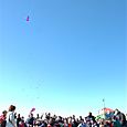Ninio200506