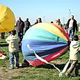 Ninio200546