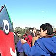Ninio200528