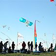 Ninio200558