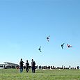 Ninio200556