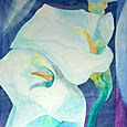 Gustavo Sonzogni