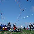 Osowba_081