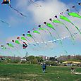 Osowba_058