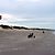 Desorg2004_66