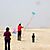 Desorg2004_34