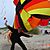 Desorg2004_50