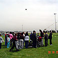 Dsc06942