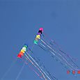 10adesorg008