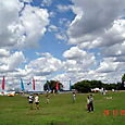 Fiestaviento38
