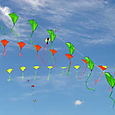 Fiestaviento03