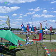 Fiestaviento41