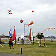 Fiestaviento057