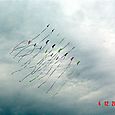 Fiestaviento0562