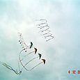 Fiestaviento0561