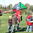 Ninio200521