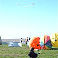 Ninio200515