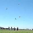 Ninio200560