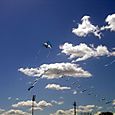 Ros040lucasgonzalez_021