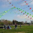 Osowba_056