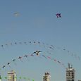 Osowba_097