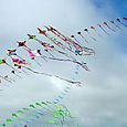 Osowba_017
