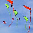 Fiestaviento051