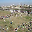 Festivalrosario91