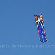 Festivalrosario71