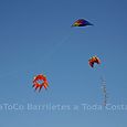 Festivalrosario81