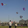 Festivalrosario100