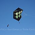 Festivalrosario9