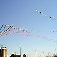 Festivalrosario78