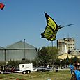 Festivalrosario10