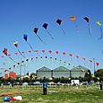 Festivalrosario67